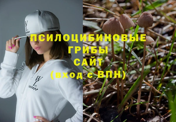 а пвп мука Дмитриев