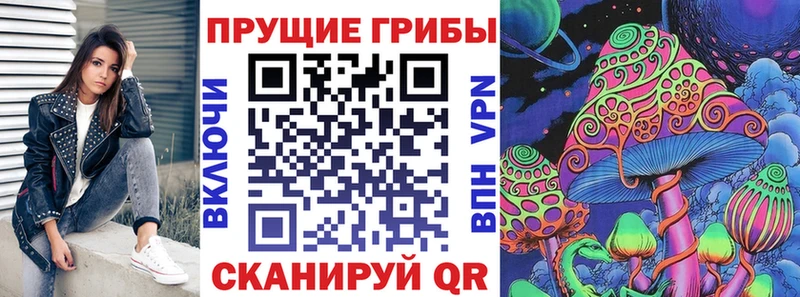 где купить наркоту  Нижний Ломов  Галлюциногенные грибы мухоморы 